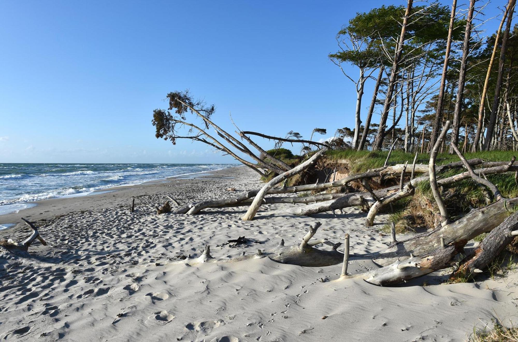 Strandhafer An Der Seebruecke Zingst Bagian luar foto