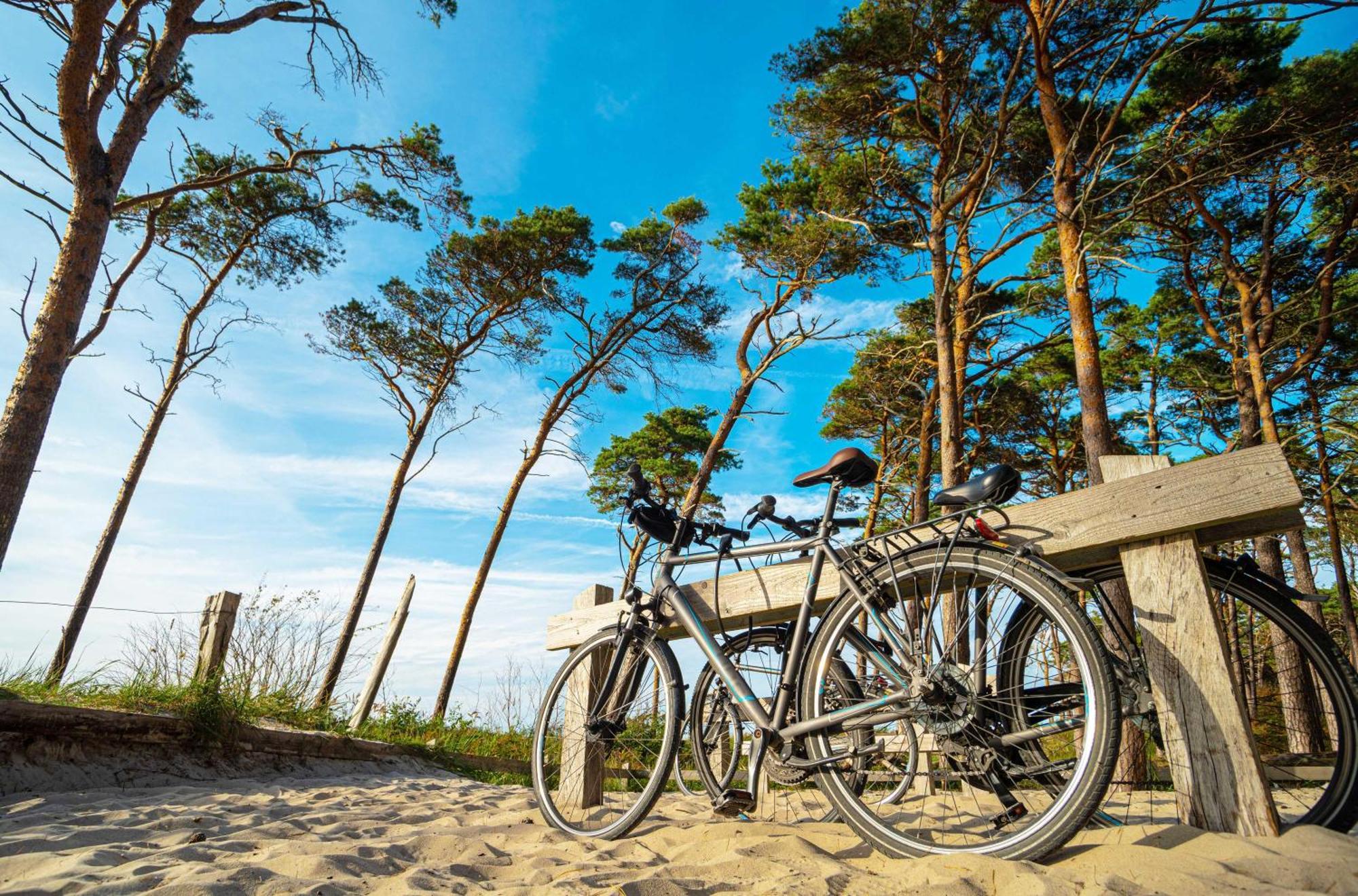 Strandhafer An Der Seebruecke Zingst Bagian luar foto